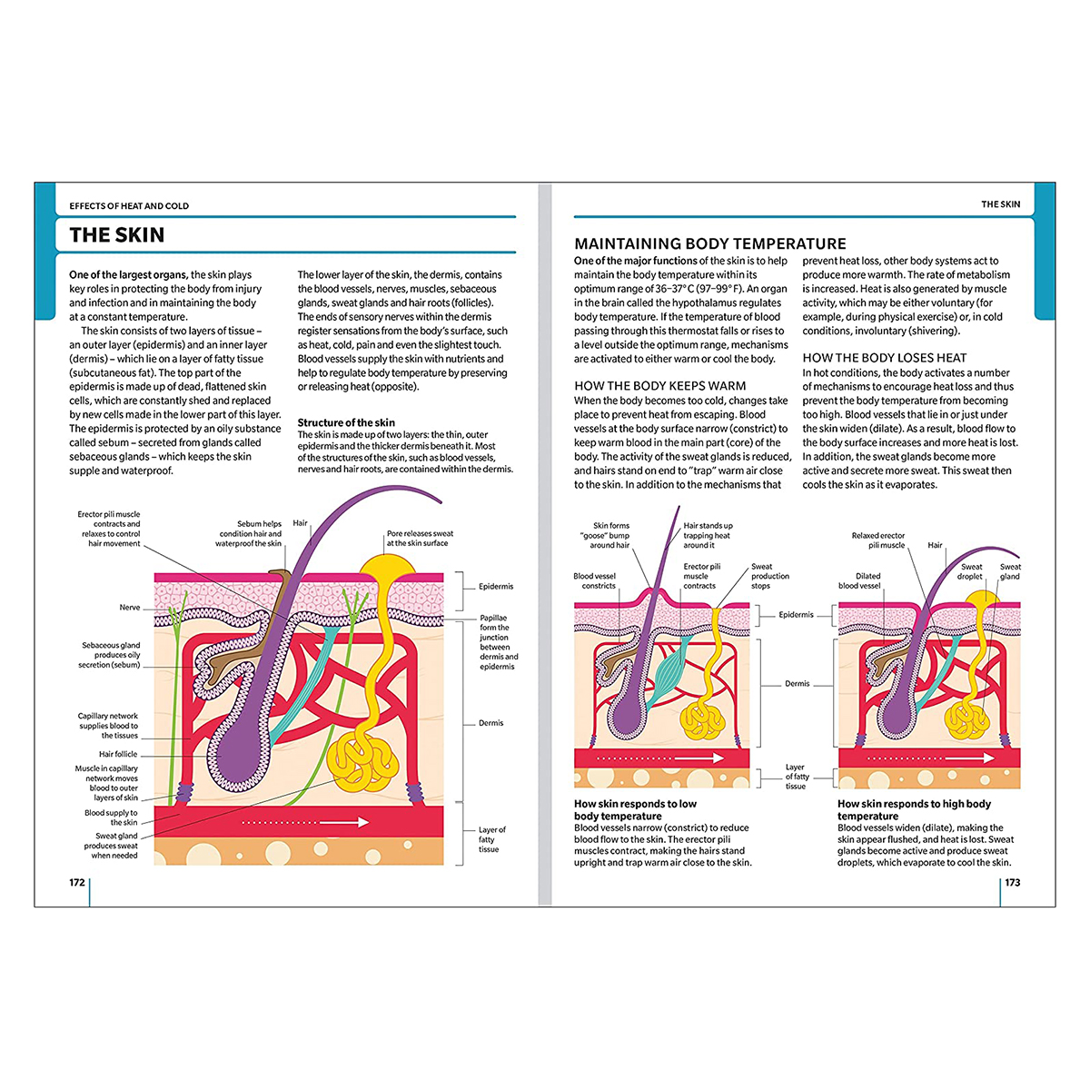 First Aid Manual 11th Edition